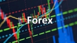 Phát triển trò chơi Forex – Những kỹ năng bạn cần nắm bắt